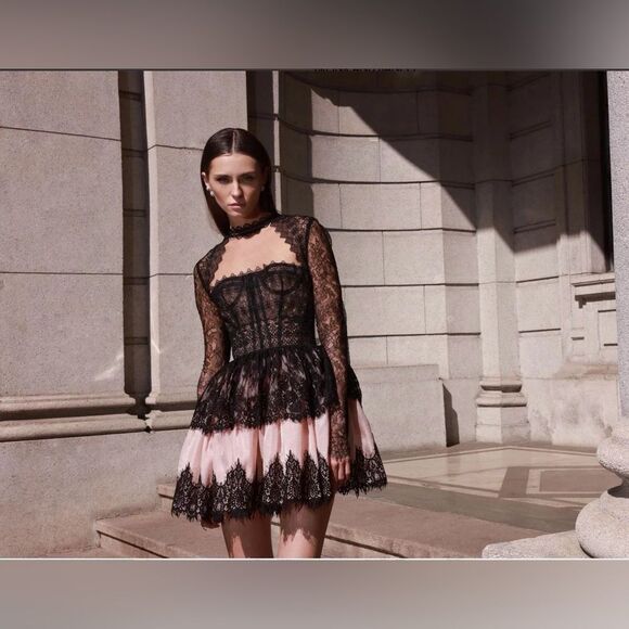 NWOT BRONX AND BANCO Daphne Illusion Corset Lace Mini Dress w Long Sleeve - Picture 7 of 16